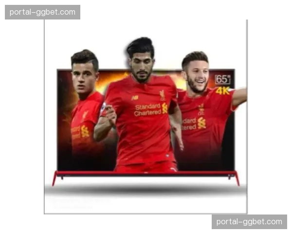 “镜头：德甲赛前，球迷用TIFO致敬即将退休的传奇解说员”