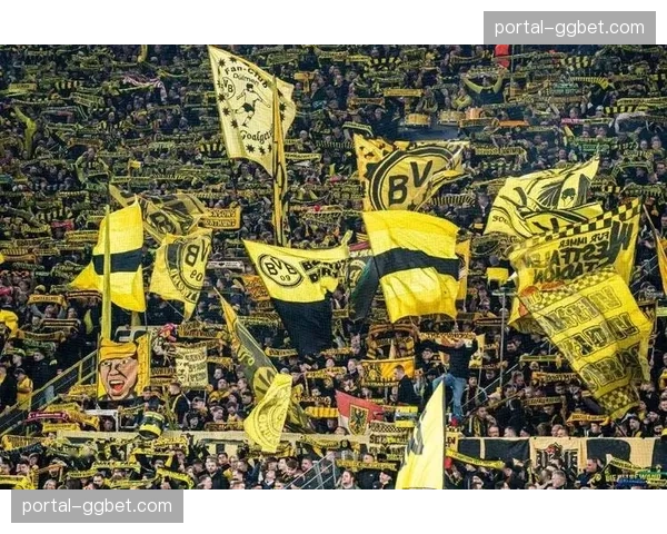 多特蒙德南看台整改风波：0.3人差距引发的安全标准争议