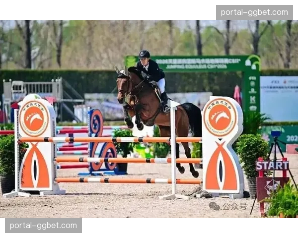 北京半程马拉松与CBA赛事同周末，城市活力双重迸发